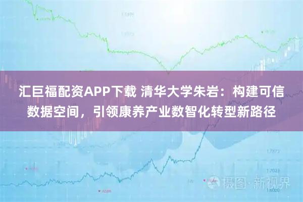 汇巨福配资APP下载 清华大学朱岩：构建可信数据空间，引领康养产业数智化转型新路径