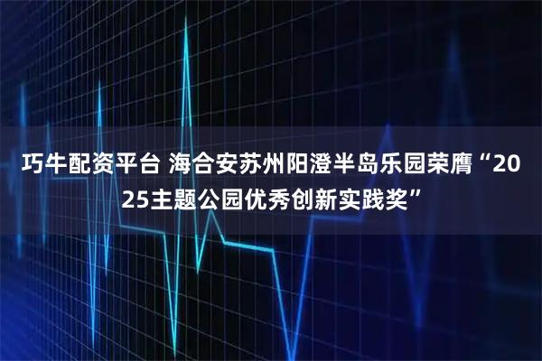 巧牛配资平台 海合安苏州阳澄半岛乐园荣膺“2025主题公园优秀创新实践奖”