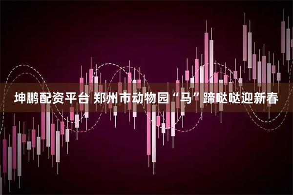 坤鹏配资平台 郑州市动物园“马”蹄哒哒迎新春