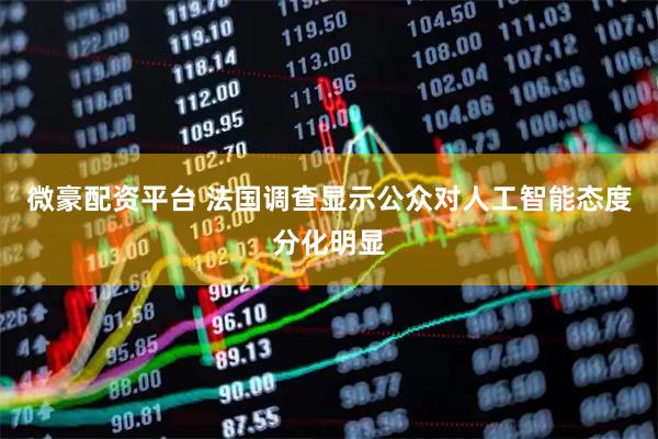 微豪配资平台 法国调查显示公众对人工智能态度分化明显